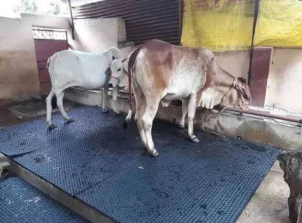HAKEX black mat for cow ,bull 8*5 | Cow Pet Mat