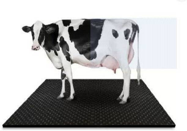 HAKEX BLACK MAT SIZE 8*5 | Cow Pet Mat