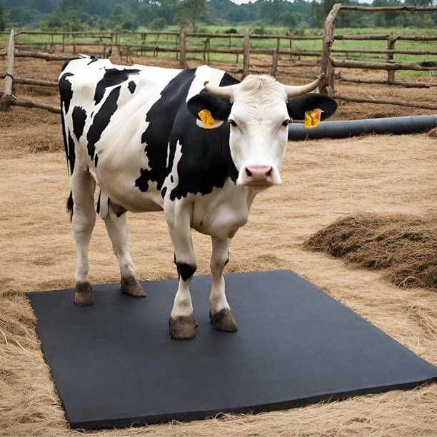 HAKEX A88Black Cow Mat For all animals, BPA Free, Easy Clean And Waterproof Size 8*5 | Cow, Hamster Pet Mat
