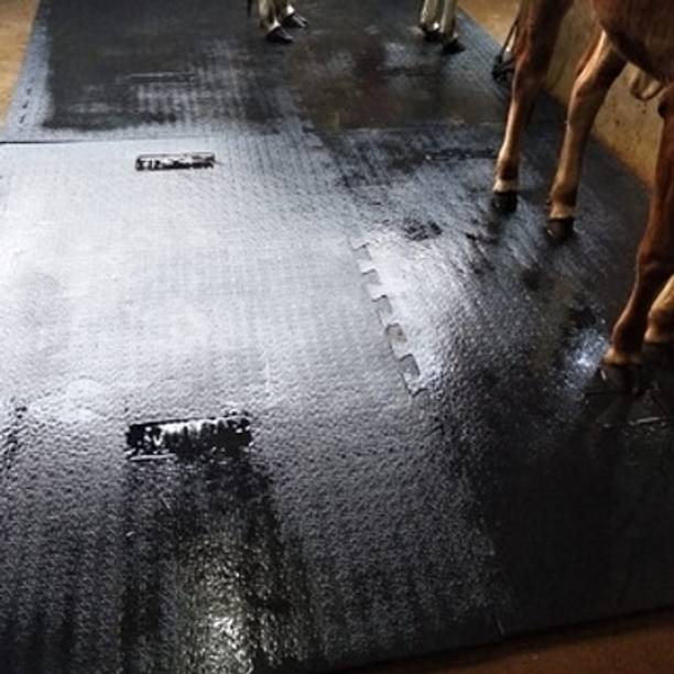 HARYANA JINDAL Feeding Mat Waterproof Black Cowmat Easy Clean With Raised Edges Cow, Dog, Hamster, Guinea Pig, Miniature Pig Pet Mat