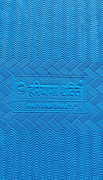 Noroix Cowmat Premium With Raised Edges Waterproof Cow, Dog, Guinea Pig,Pet Mat Cow, Dog, Hamster, Guinea Pig, Miniature Pig Pet Mat