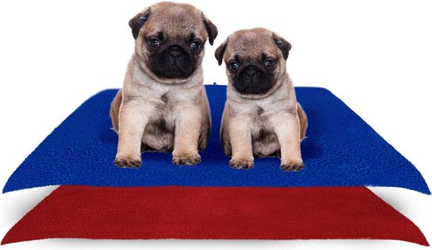 Amorite Reusable Washable Pee Pads-Puppies Washable Dog/Cat Diapers Pack of 2 Royal Blue + Maroon Dog, Cat, Guinea Pig, Hamster, Miniature Pig, Rabbit, Tortoise Pet Mat