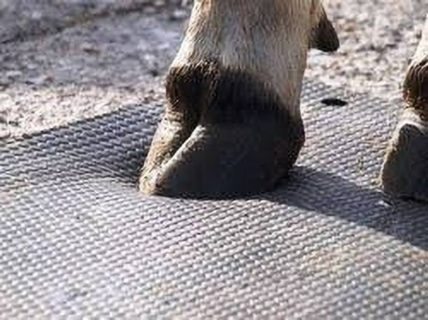 Noroix Animal Feeding Waterproof Rubber mat 8×5 feet Cow, Dog, Hamster, Guinea Pig, Miniature Pig Pet Mat