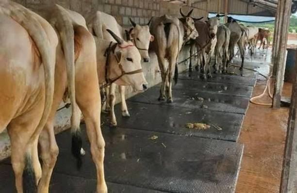 HAKEX BLACK VIPMAT SI ZE 8*5 FOR COW AND ALL PET ANIMALS Cow Pet Mat