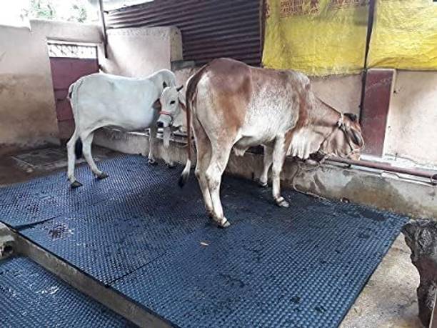 Lakhani Cow Mat is (8 X 5 Feet) BPA Free, Easy to Clean Ethylene Vinyl Acetate (EVA) Cow, Dog, Hamster, Guinea Pig, Miniature Pig Pet Mat