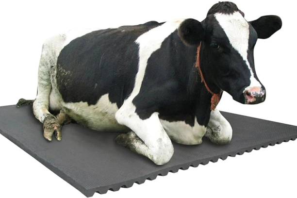 JINDALMAT COW Animal Feeding Waterproof Rubber mat BPA Free for Cow, Buffalo, BLACK Cow, Dog, Hamster, Guinea Pig, Miniature Pig Pet Mat