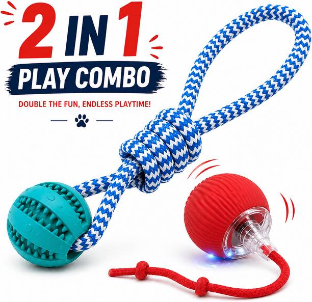 Pawmino Silicone Ball For Dog & Cat
