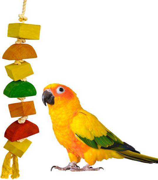 CONGO NATURAL PARROT TREAT Wooden Chew Toy For Bird