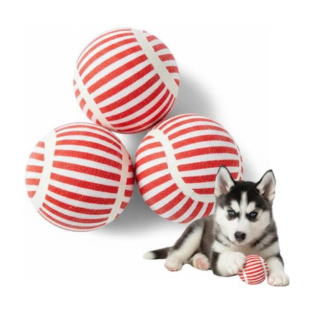 Emily Pets Dog Balls Pack of 3 | Squeaky Fetch Toy for Dogs Rubber Ball, Fetch Toy, Squeaky Toy, Chew Toy For Dog