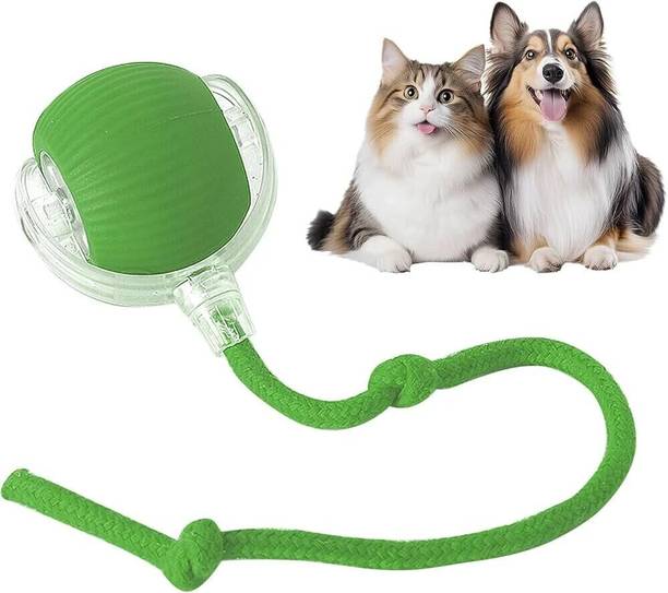 decorvaiz cat toy rolling ball Silicone, Plastic Ball For Dog & Cat