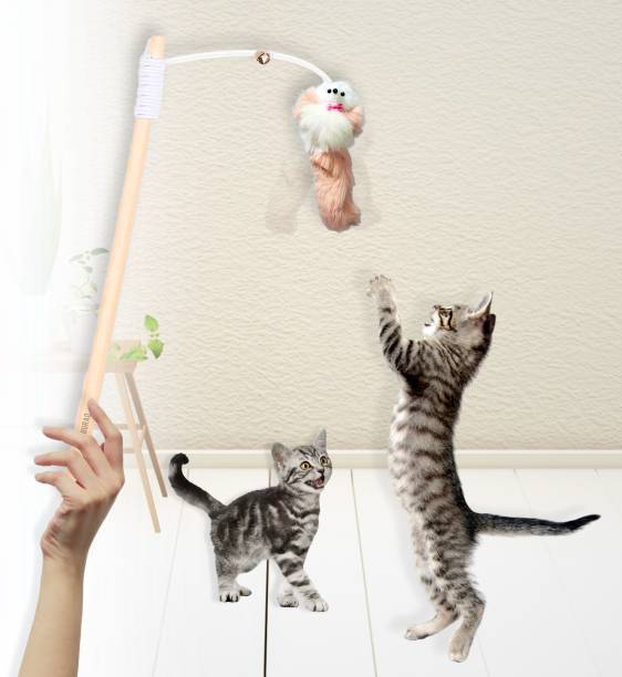 Buraq Cat Stick Toy with Bell Help Your Cats Keep Active | Playing Wooden Stick For Cat
