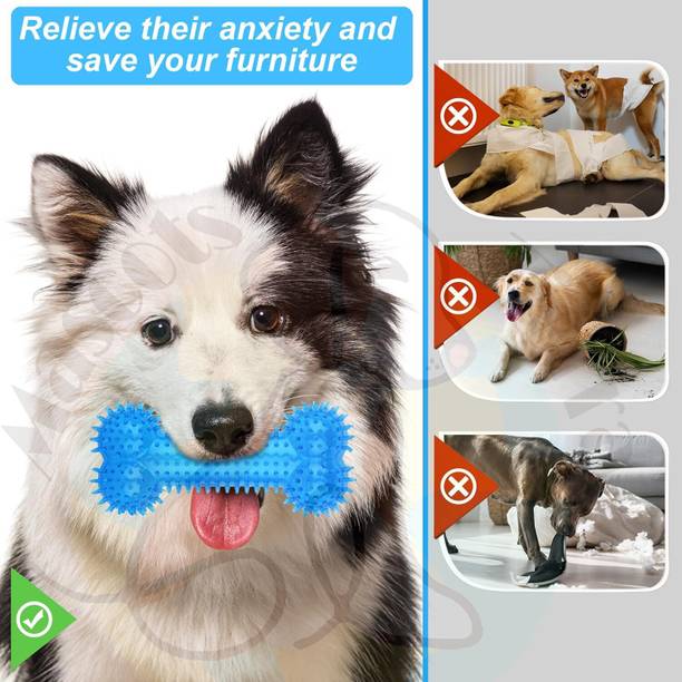 Berlin's BONE TOY Rubber Bone For Dog