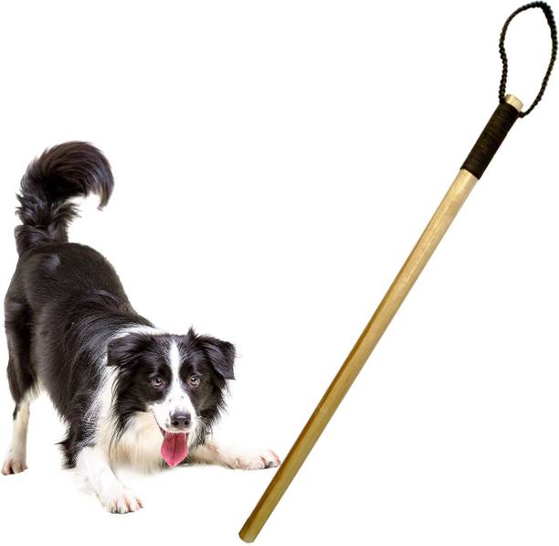 Jainsons Pet Products Dog Training Wooden Stick Length ...