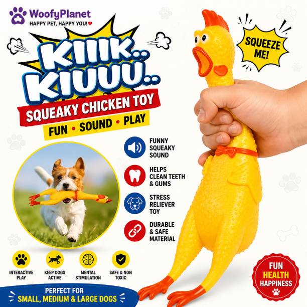 WoofyPlanet Rubber Squeaky Chicken Dog Toy – SC-01 (M) Rubber Squeaky Toy For Dog & Cat