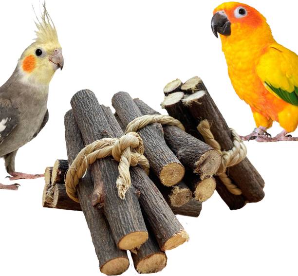 CONGO NATURAL PARROT TREAT 5 Pc. Bottlebrush Chewing Twigs for Wooden Chew Toy For Bird
