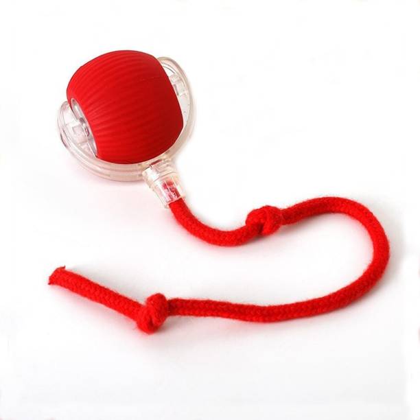 decorvaiz Rolling Ball Cat and Dog Toy with Tail Rope USB Rechargeable Ball Silicone Ball For Dog & Cat