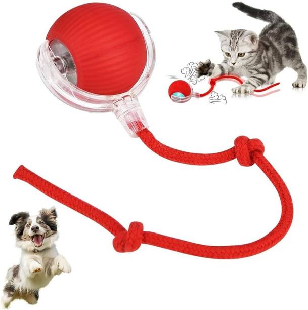 decorvaiz 360° Interactive Dog, Cat Toys Ball, Electric Rolling Ball Automatic Moving Ball Silicone, Plastic Ball For Dog & Cat