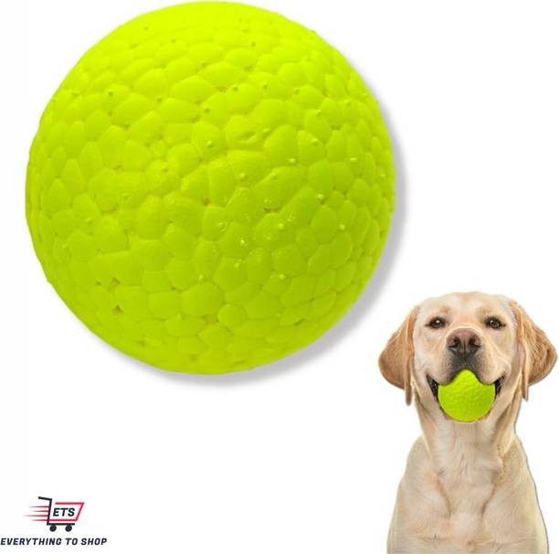 ETS Rubber Ball For Dog