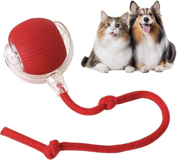 decorvaiz Toys for Big Cats, Tails Smart Ball Interactive Pet Rolling Ball Toy Silicone, Nylon, PP (Polypropylene) Ball For Dog & Cat