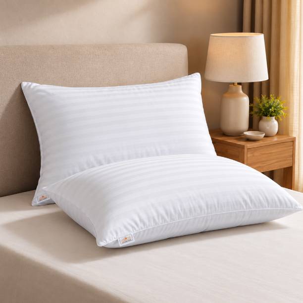 Signature Microfibre Sleeping Pillow Pack of 2 Solid