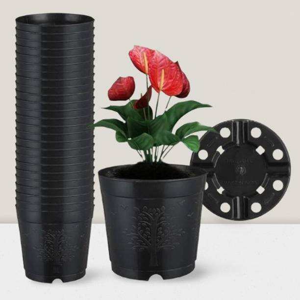 TFH Plant Container Set