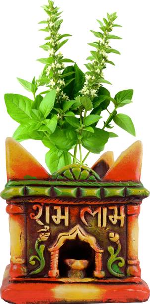 Turtulsgroup Terracotta tulsi Pots Home||Offcie with Good Packeging 7.5x9.5 Inch Multicolor Plant Container Set