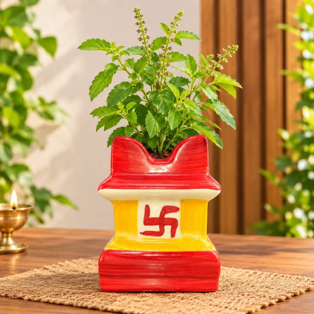 Ms shri sai industries Tulsi ceramic pot Plant Container Set