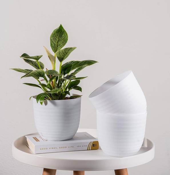 SNSHOPEE 3 Beautiful Wave Matte Finish planters flower plant pots gamla gardening Plant Container Set