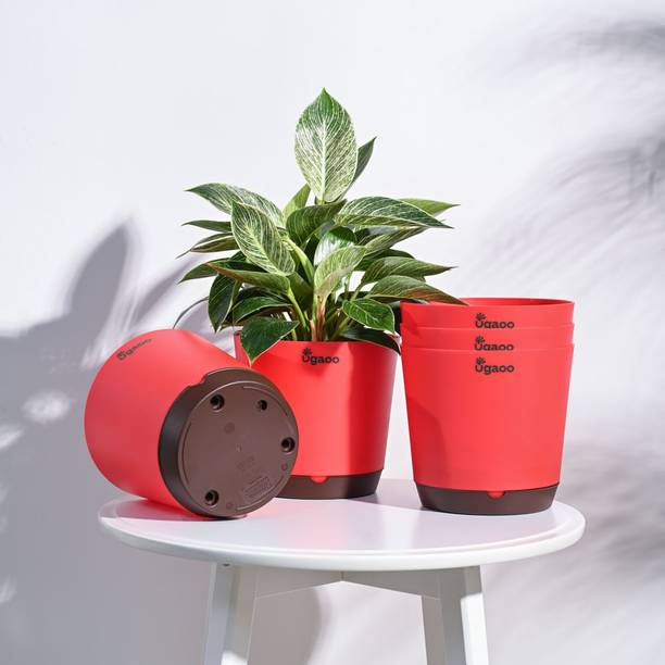 UGAOO Krish Red Self Watering Planter - 7.5 Inch, Round, Set of 5 Plant Container Set