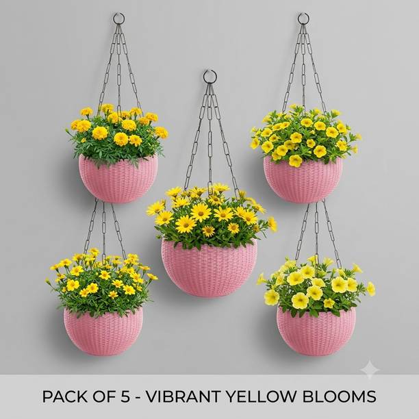VELOFAST Heavy-Duty Hanging Plant Pot With Metal Chain Light Pink 5 Chain Pot 133 Plant Container Set
