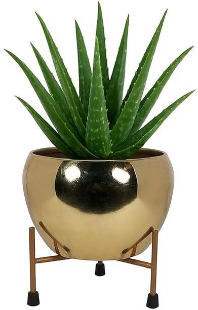 Chic Decor GP01 Iron Vase