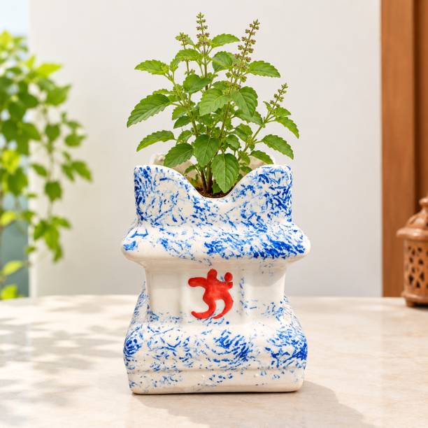 Ms shri sai industries Tulsi ceramic pot Plant Container Set