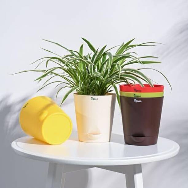 UGAOO Krish Multicolor Self Watering Planter - 5 Inch Plant Container Set