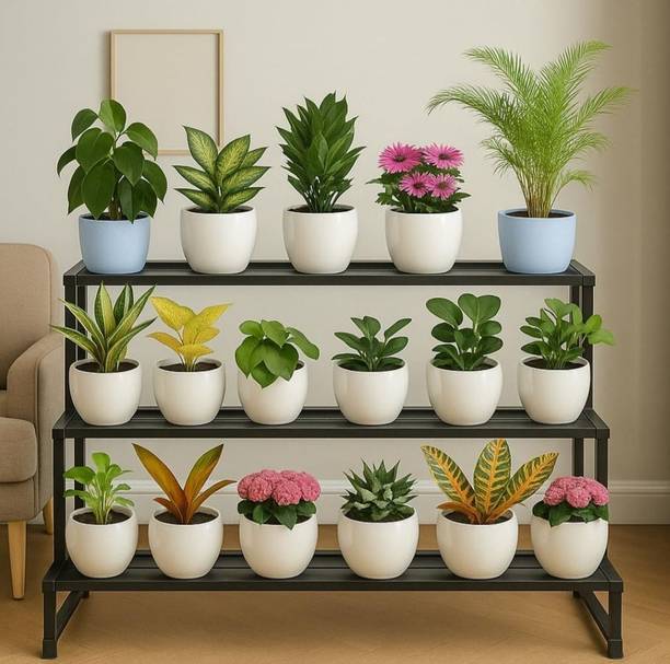 ABC Multi-Tier Metal Plant Stand Modern Indoor/Outdoor Plant Container Set