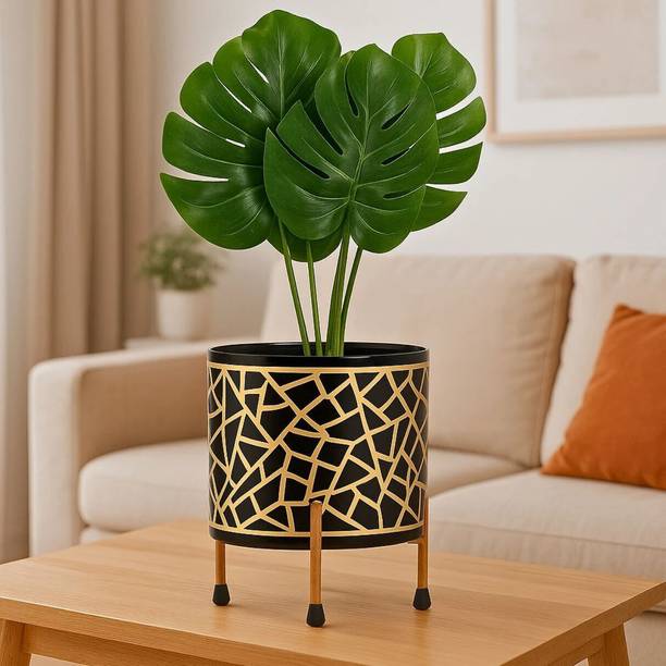 Titir Black-Gold Metal Indoor Plants Pot Organizer for Home & Kitchen|6 in pot stand| Plant Container Set