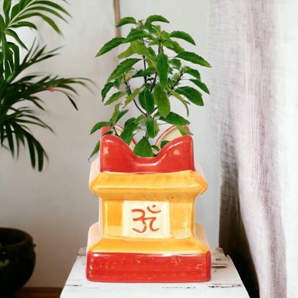 The Home Care Ceramic Tulsi Flower Planter Gamla Pot for Indoor Outdoor Home Decor Garden Puja Plant Container Set