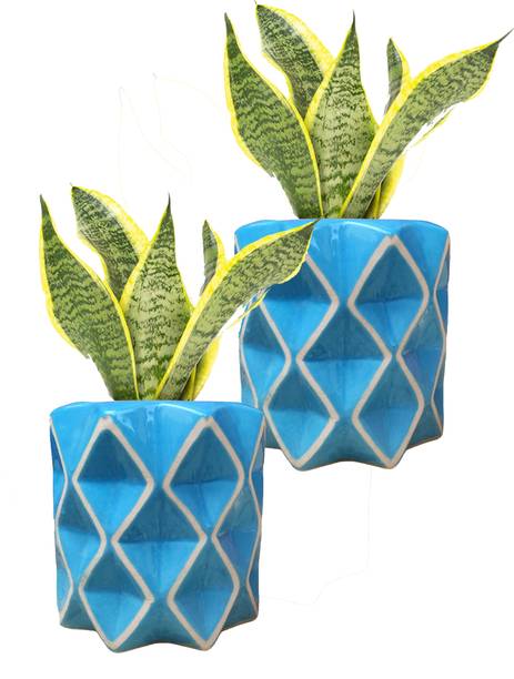 Gupta Homes Decorative Ceramic Planter Pot with Diamond Pattern, Blue Plant Container Set