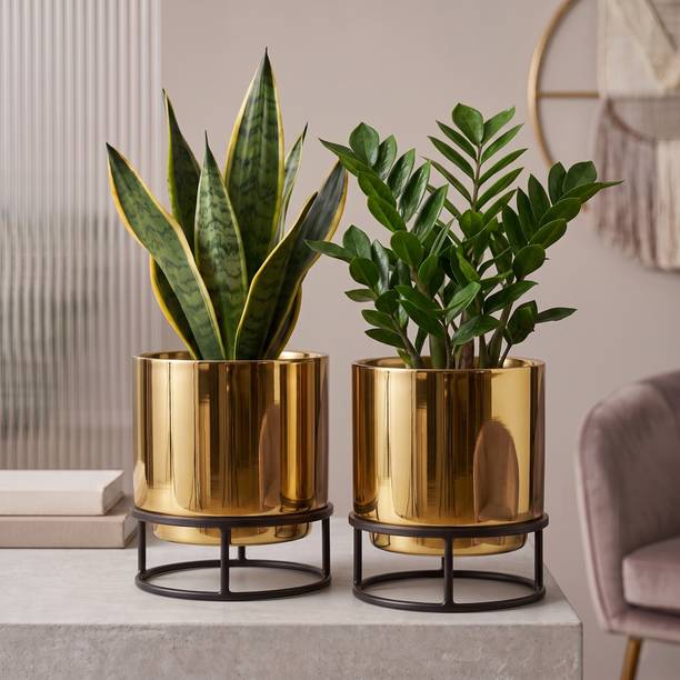 URBAN NEST CREATIONS Luxury Golden Planter Pots set | Indoor & Outdoor | Home, Balcony & Office Decor Plant Container Set