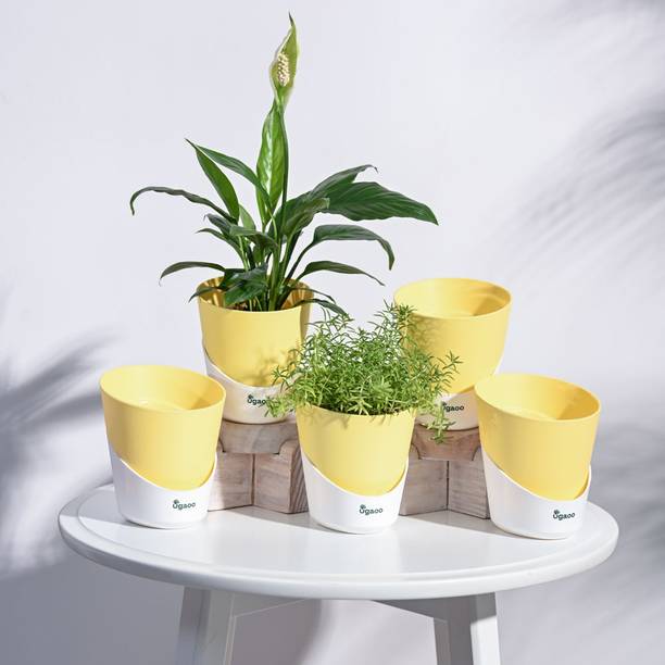 UGAOO Atlantis Self Watering Yellow Planter - 4 Inch (Set of 5) Plant Container Set