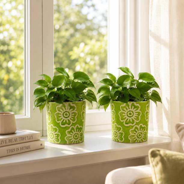Gupta Homes Green RD Flower Ceramic Plant Pot Size 4x4inch GH0031-05 Plant Container Set
