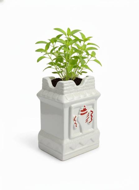 Sanjana Singh Traditional Ceramic Tulsi Vrindavan Pot | Handcrafted Spiritual Plant Container Set