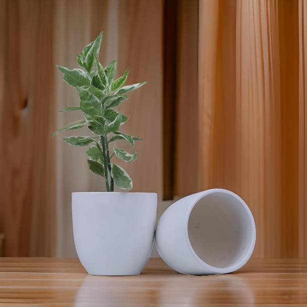 SoulfulBites Planter U-Shaped Ceramic Flower Pots for Indoor & Outdoor Ideal for Home Plant Container Set