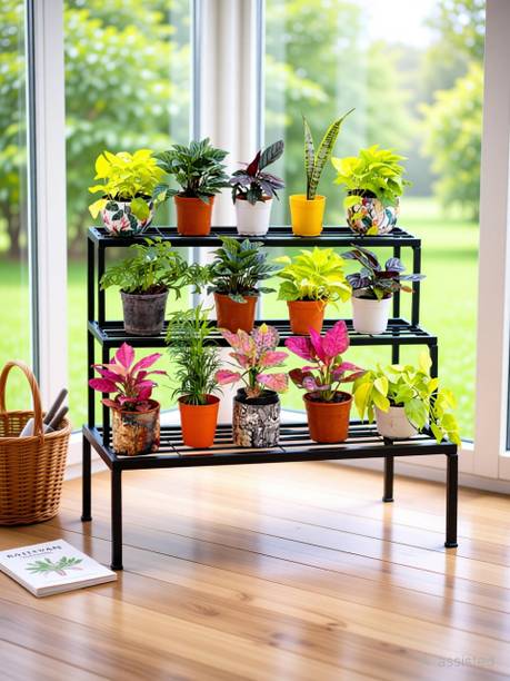 RAIYYAN HANDICRAFTS 3-Tier stand Multi-Tier plant containet set 3STEPS stand pot stand steps Plant Container Set