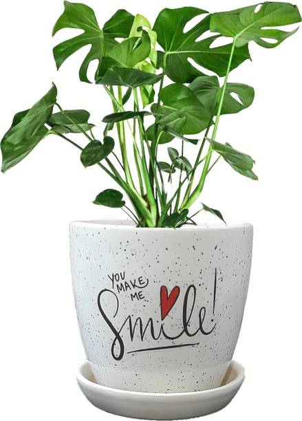 MUMU Ceramic Pot with Quotes | you make me smile | Pot with tray and drainage hole. Plant Container Set
