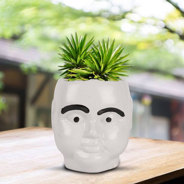 Justoriginals Face Shape Flower Pot (Color : White) Plant Container Set