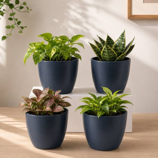 Garden Deco Stella Grey 6 Inch Round Planter Set of Four Decorative Indoor Pots Plant Container Set
