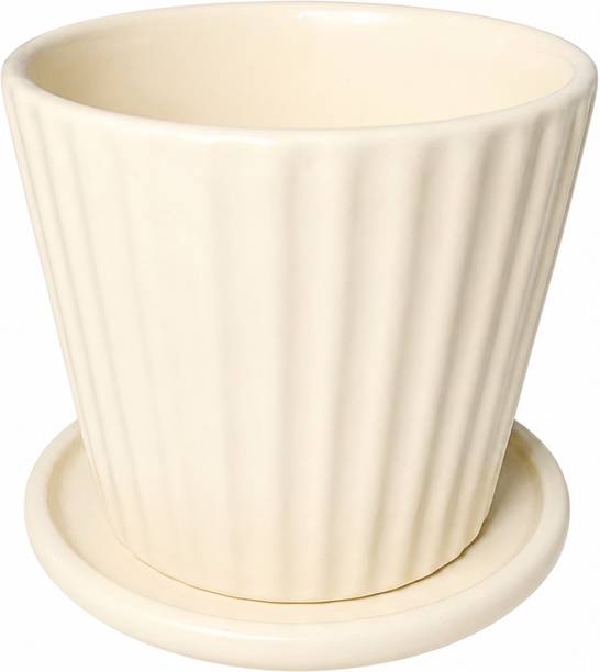 SHYAMNA LINE PLET CREAM Plant Container Set