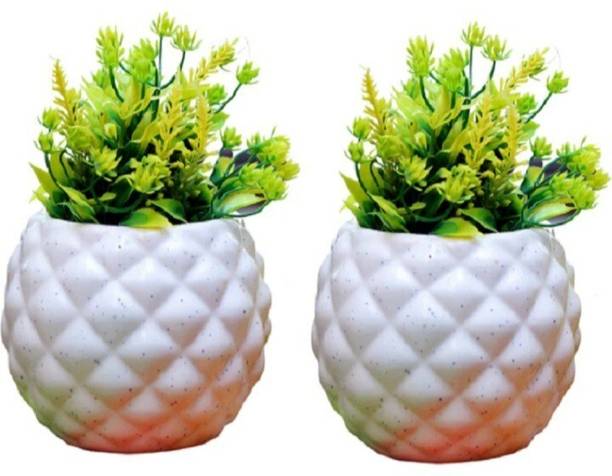 Nayi Umang White Pineapple Small Bowl Ceramic Pot Plant (Pack Off 2) Plant Container Set