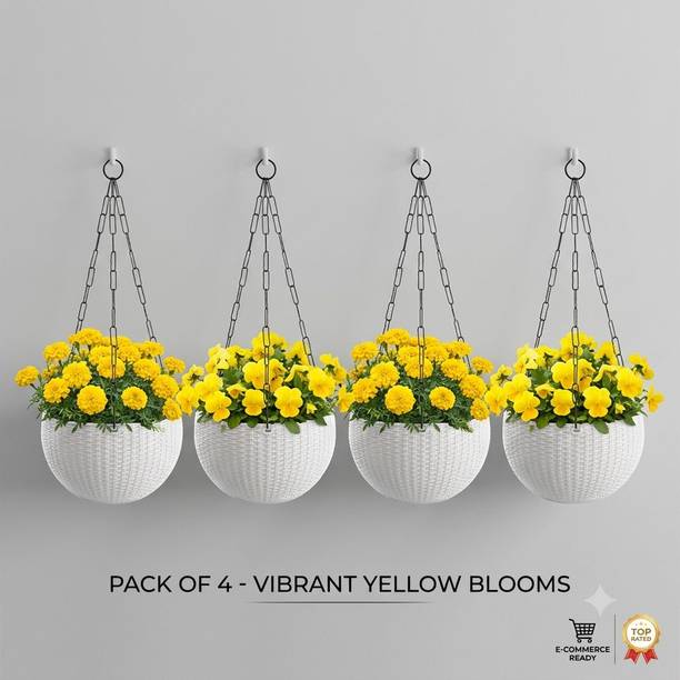 VELOFAST Heavy-Duty Hanging Plant Pot With Metal Chain White 4 Chain Pot 110 Plant Container Set