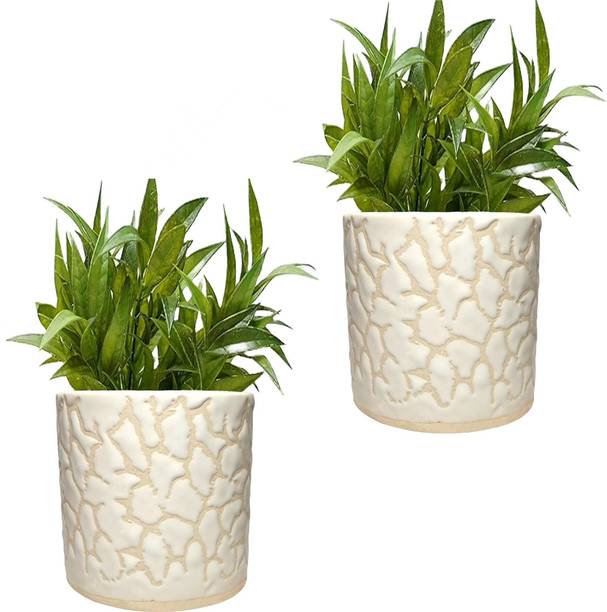 Gupta Homes White RD-2 Pipe Ceramic Pot Size 4x4inch GH0022-11 Plant Container Set